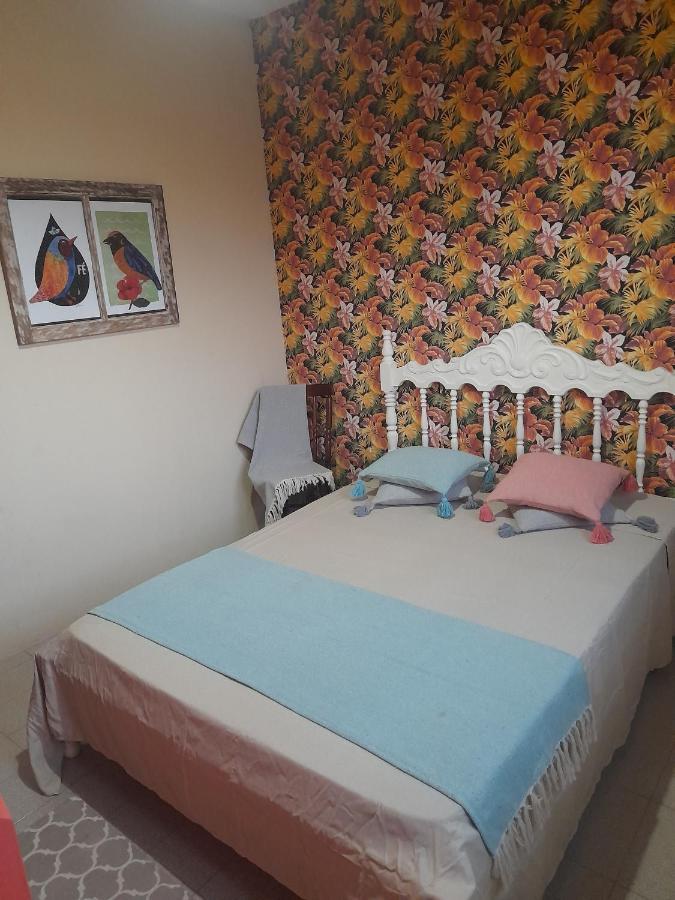 Katsbarnea Hostel Флорианополис Экстерьер фото