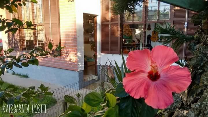 Katsbarnea Hostel Флорианополис Экстерьер фото
